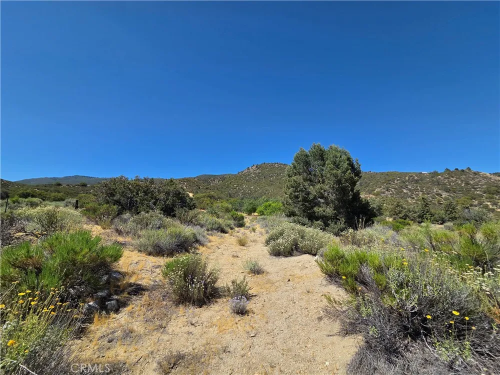 37210 Bohlen Anza, CA 92539