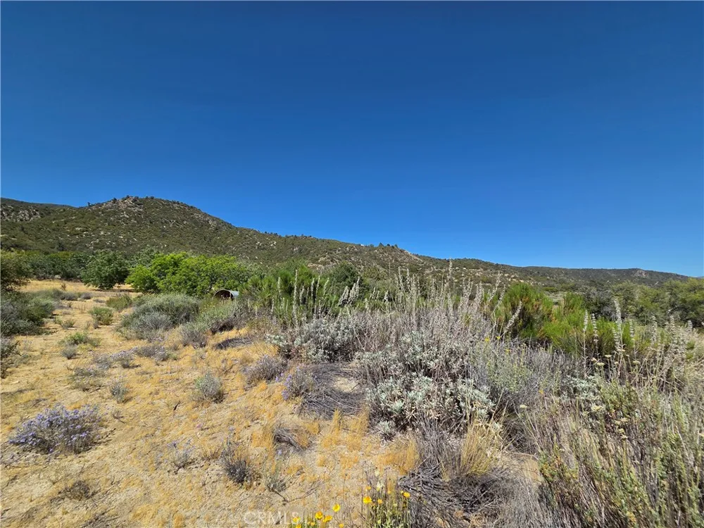37210 Bohlen Anza, CA 92539