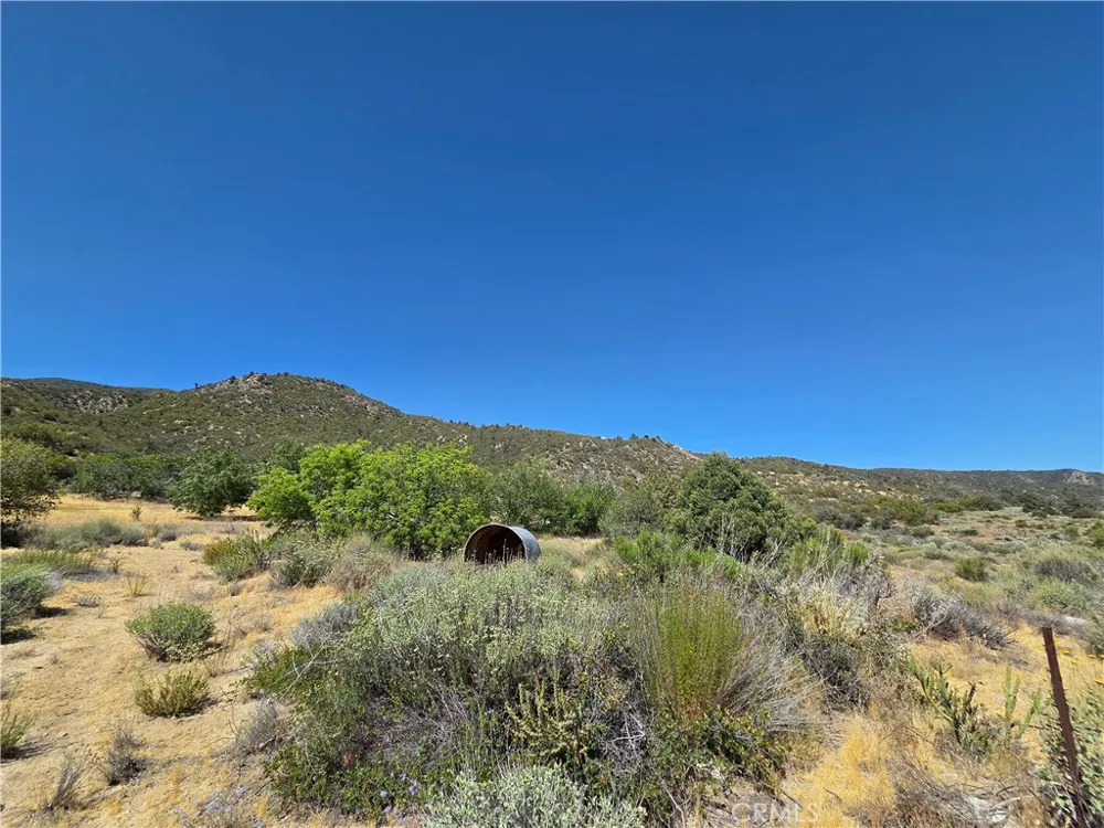 37210 Bohlen Anza, CA 92539