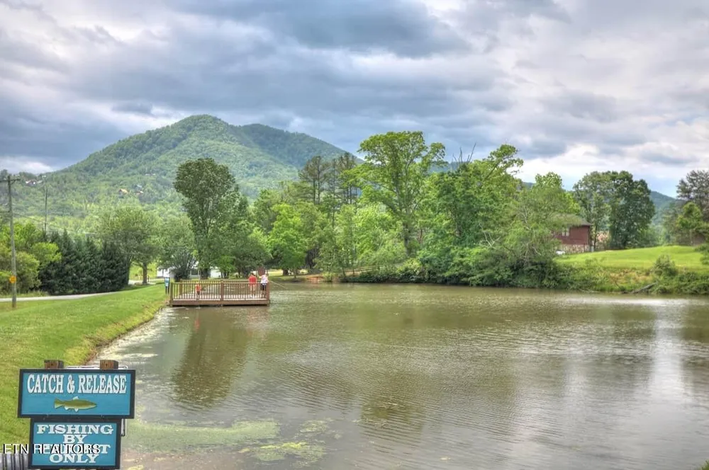 210 Meghans Way Townsend, TN 37882