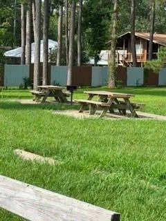 81 E Bishop Road Point Blank, TX 77364