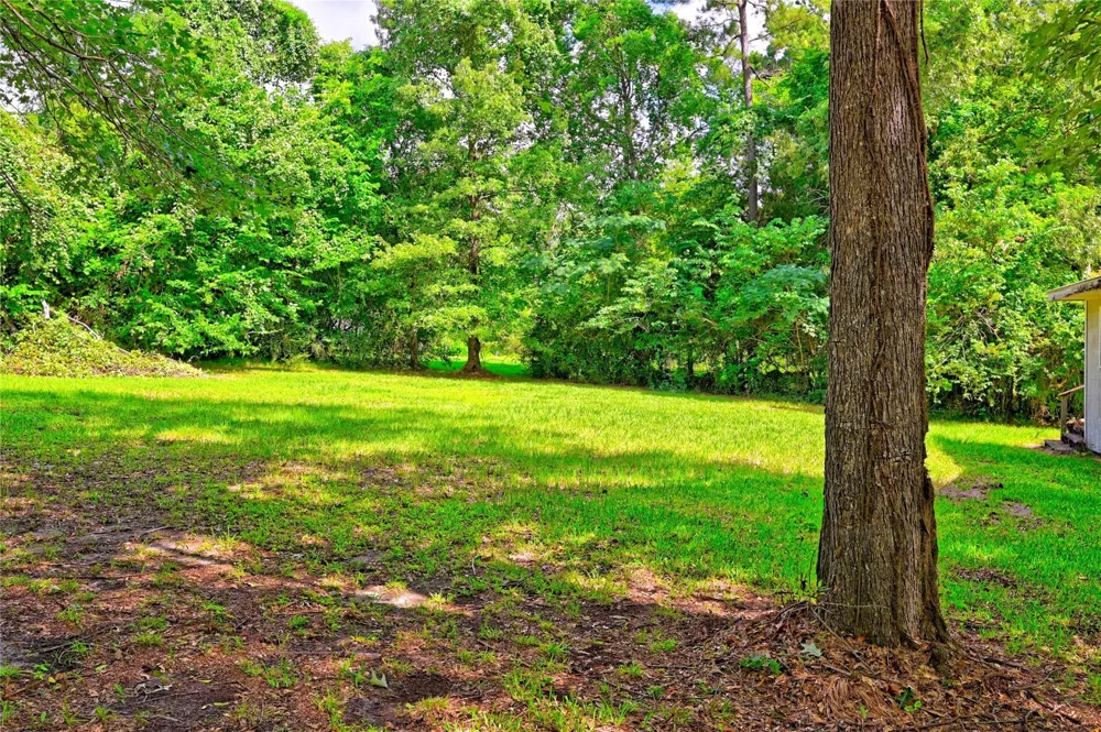 81 E Bishop Road Point Blank, TX 77364