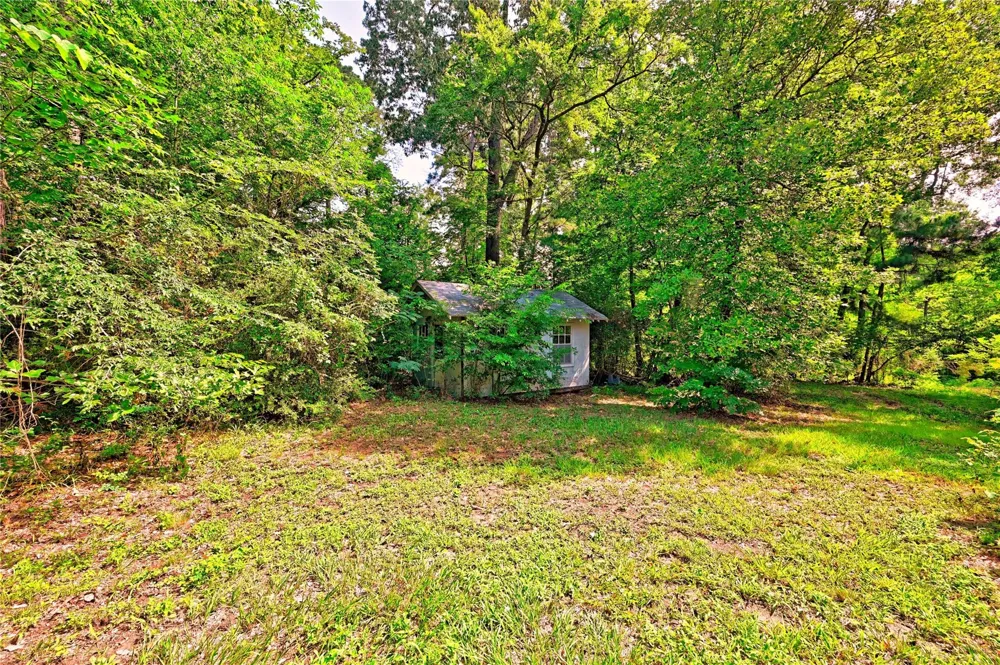 81 E Bishop Road Point Blank, TX 77364