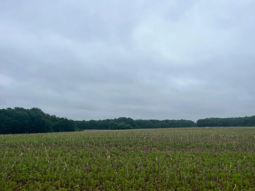TBD (Lot 1) Hemingway Avenue North Branch, MN 55056