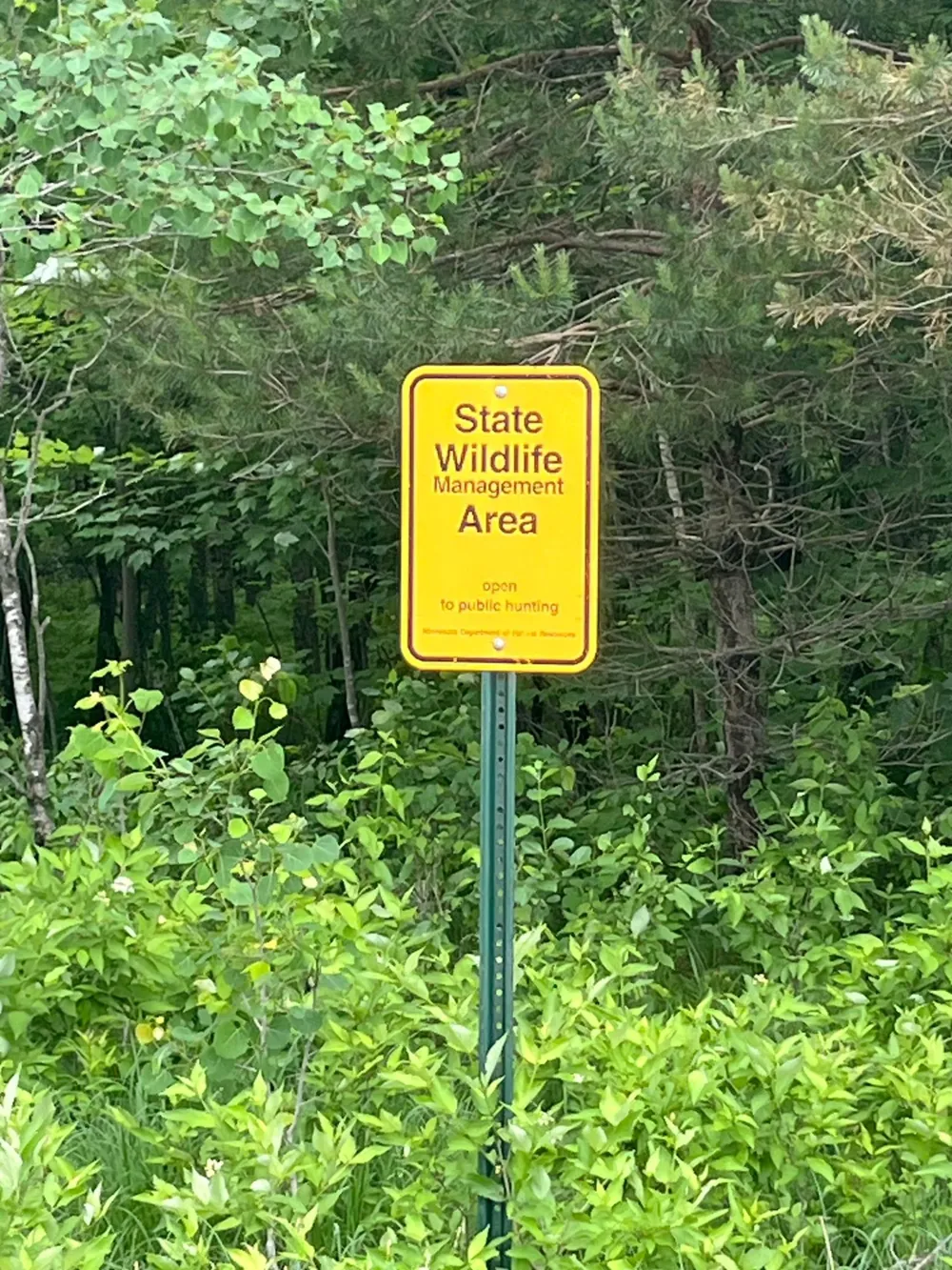 TBD (Lot 1) Hemingway Avenue North Branch, MN 55056