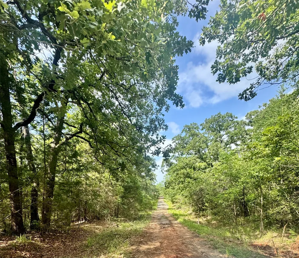 Butch Cassidy Drive Log Cabin, TX 75148