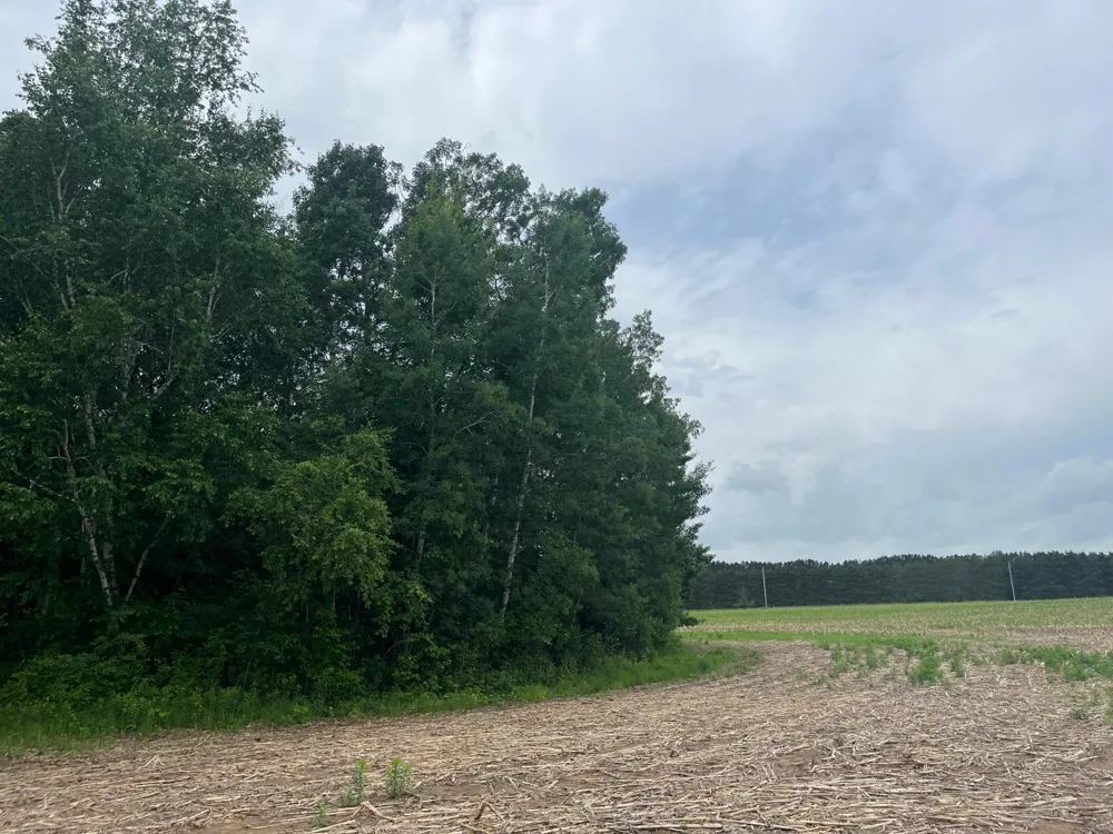 TBD (Lot 2) Hemingway Avenue North Branch, MN 55056