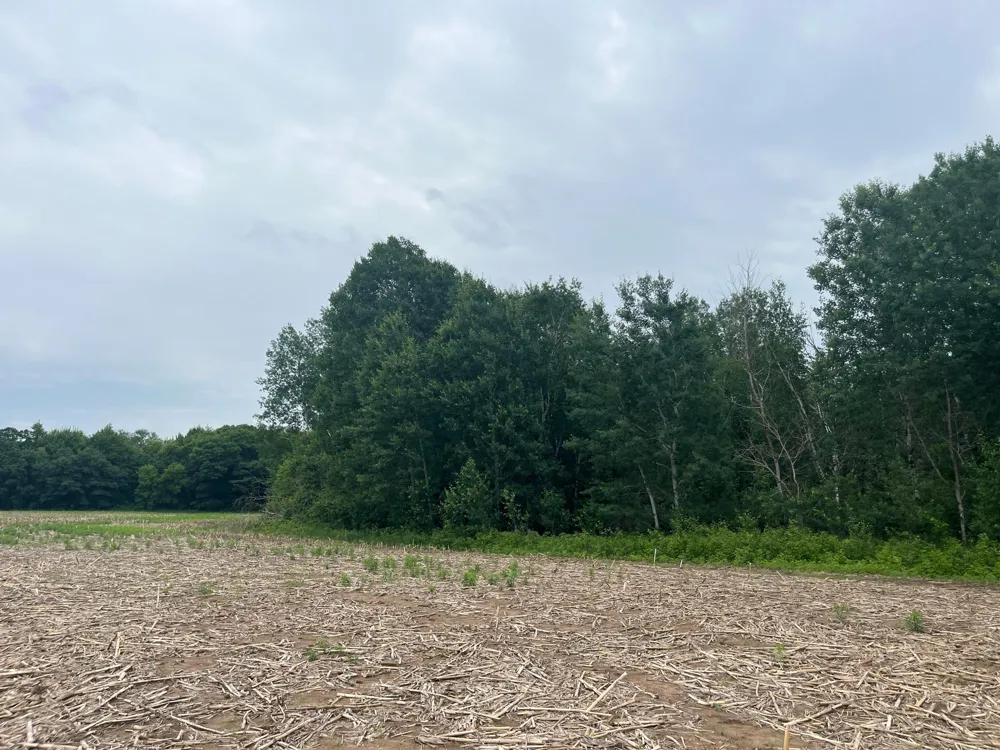 TBD (Lot 2) Hemingway Avenue North Branch, MN 55056
