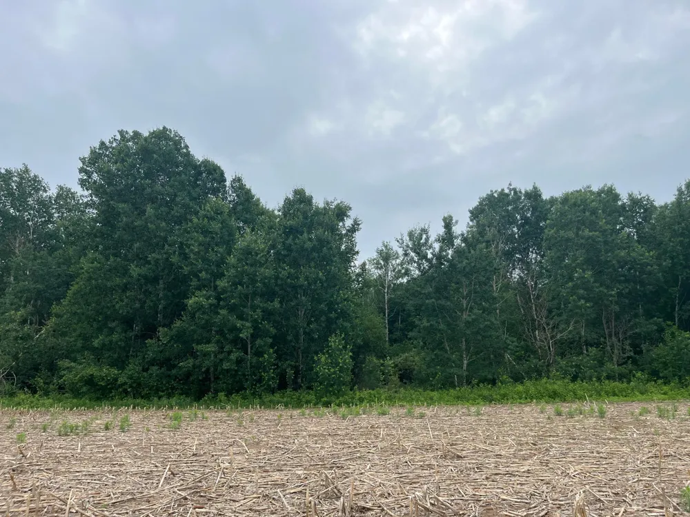 TBD (Lot 2) Hemingway Avenue North Branch, MN 55056