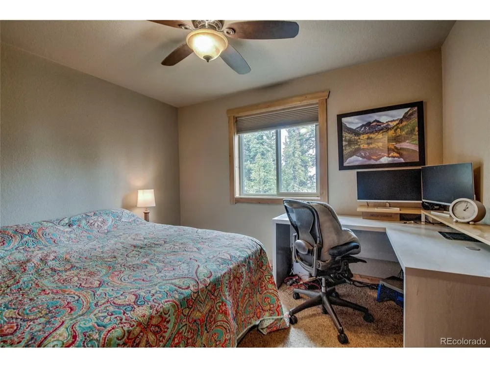 566 Miners Way Fairplay, CO 80440