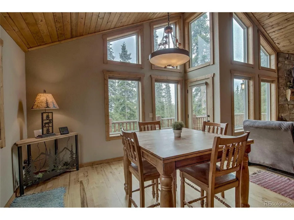 566 Miners Way Fairplay, CO 80440