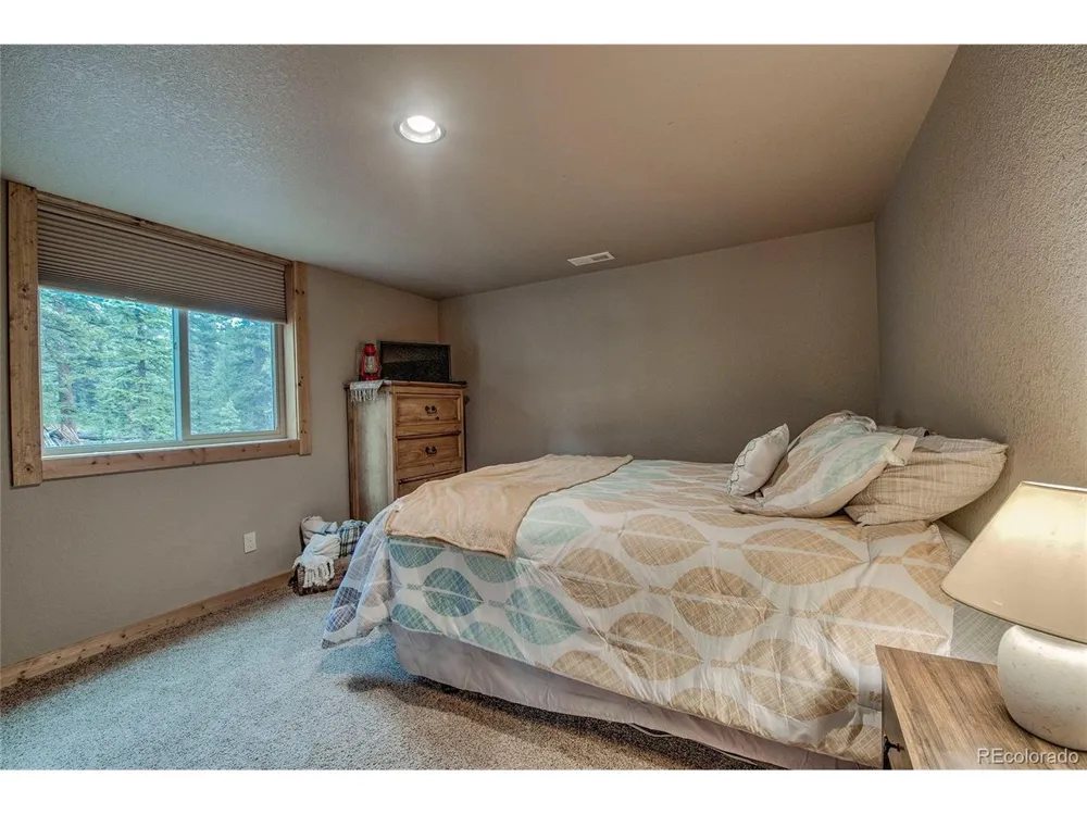 566 Miners Way Fairplay, CO 80440