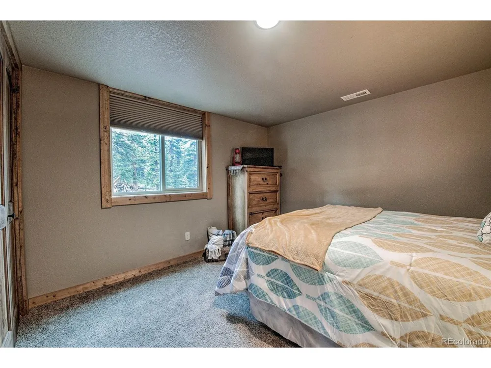 566 Miners Way Fairplay, CO 80440