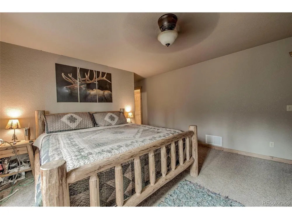 566 Miners Way Fairplay, CO 80440
