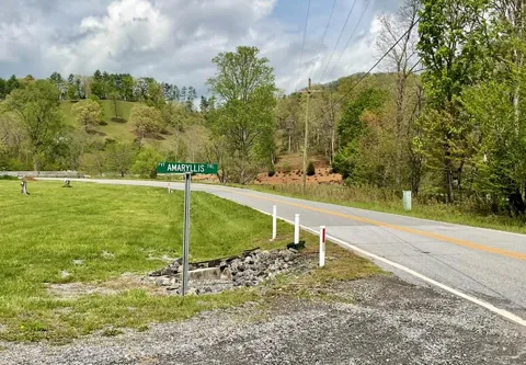 Amaryllis Trail
