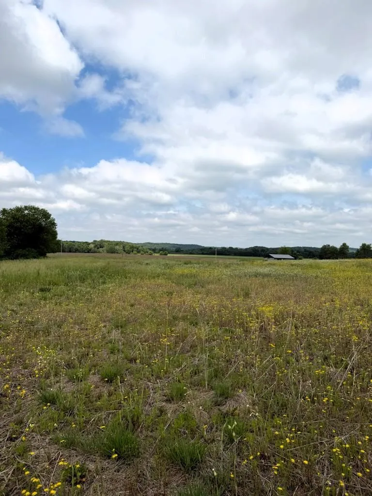 Lot 2 County Rd F Boyceville, WI 54725