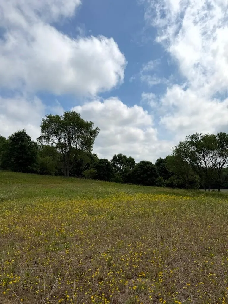 Lot 2 County Rd F Boyceville, WI 54725