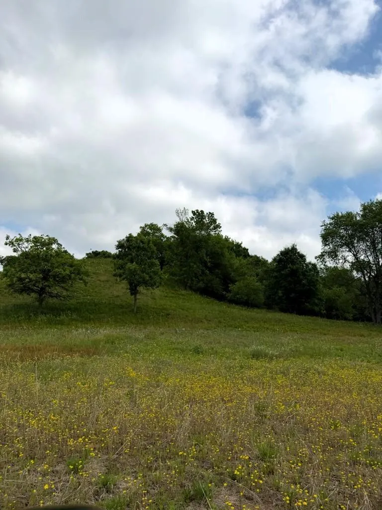 Lot 2 County Rd F Boyceville, WI 54725