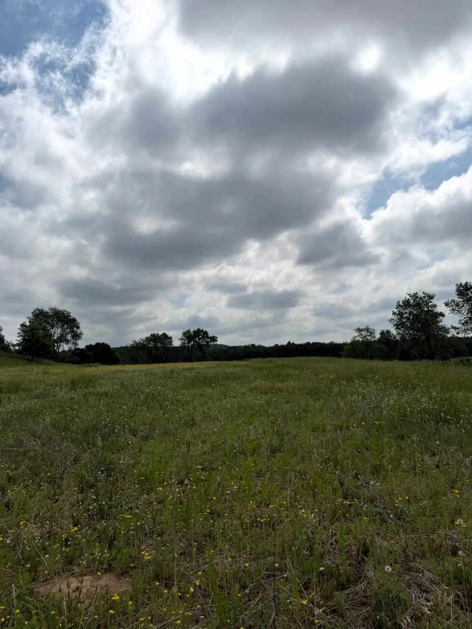 Lot 2 County Rd F Boyceville, WI 54725