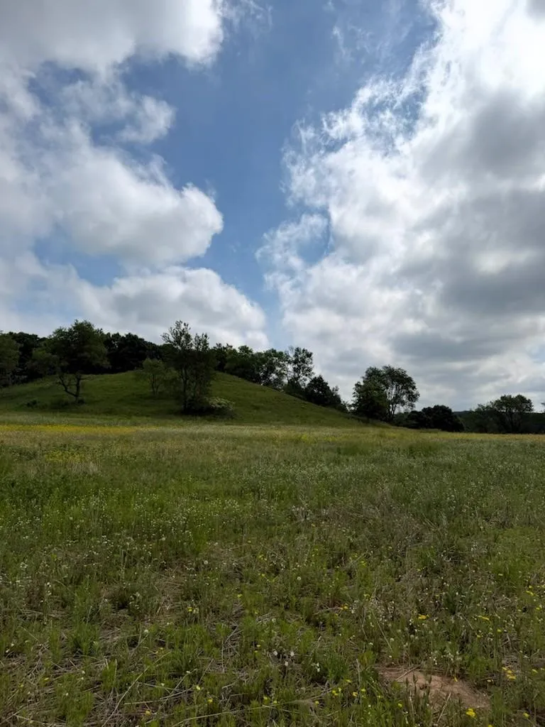 Lot 2 County Rd F Boyceville, WI 54725