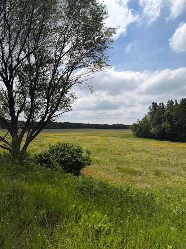 Lot 2 County Rd F Boyceville, WI 54725