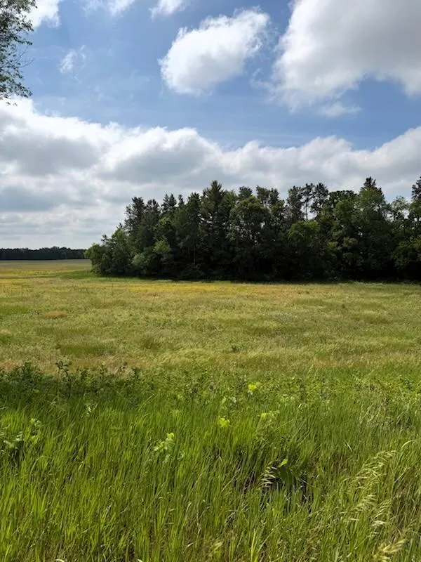 Lot 2 County Rd F Boyceville, WI 54725