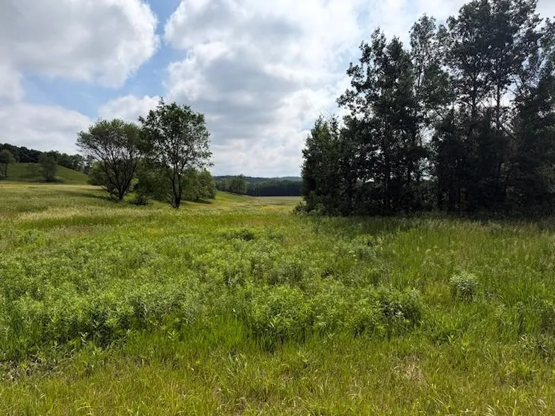 Lot 2 County Rd F Boyceville, WI 54725