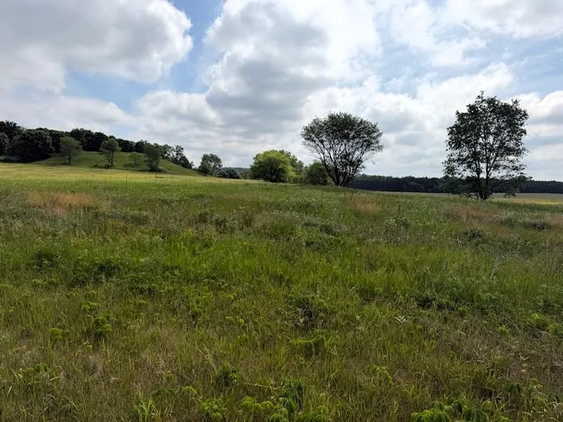 Lot 2 County Rd F Boyceville, WI 54725