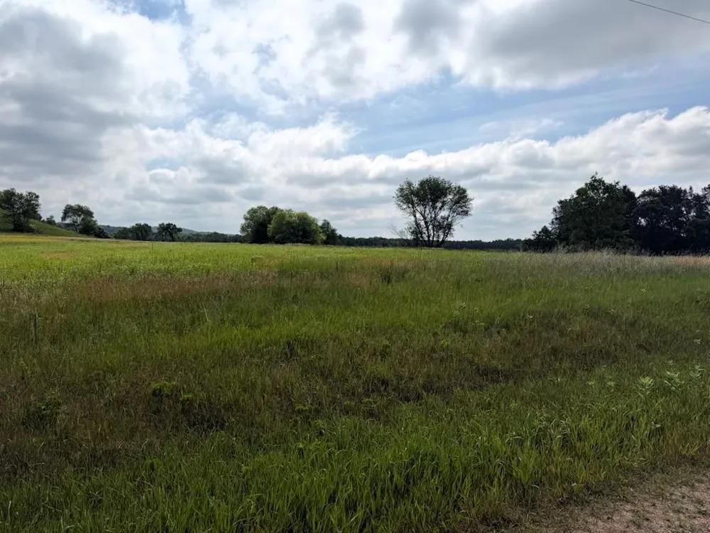 Lot 2 County Rd F Boyceville, WI 54725