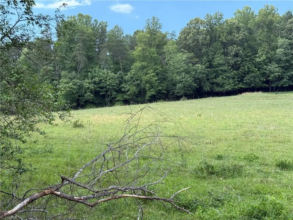 0-0-0 Beechwood Road King, NC 27021