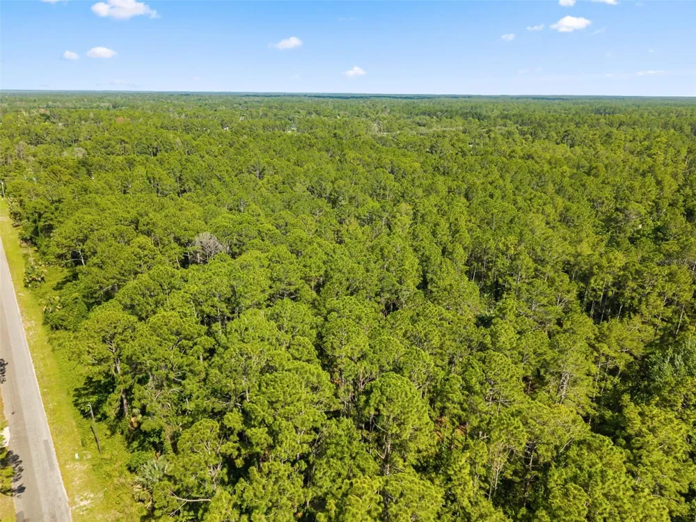APRICOT AVENUE Eustis, FL 32736