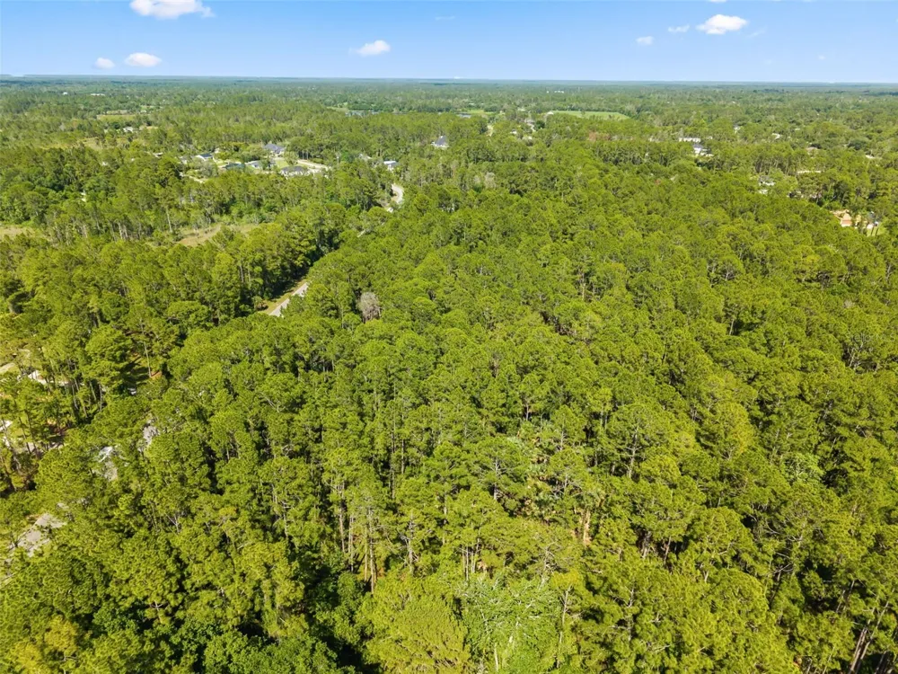 APRICOT AVENUE Eustis, FL 32736