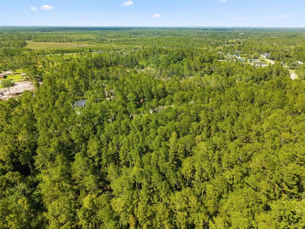 APRICOT AVENUE Eustis, FL 32736