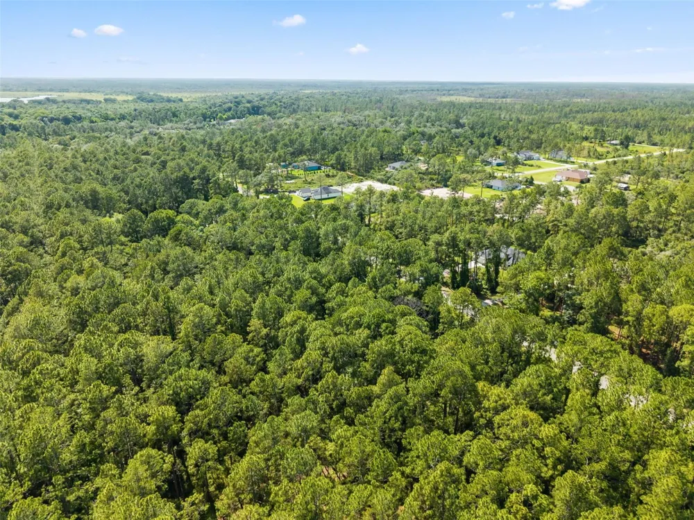 APRICOT AVENUE Eustis, FL 32736