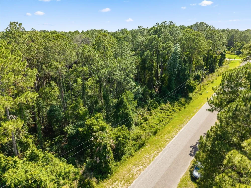 APRICOT AVENUE Eustis, FL 32736