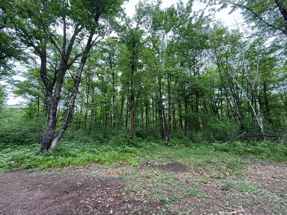 54520 United Country Court Sandstone, MN 55072
