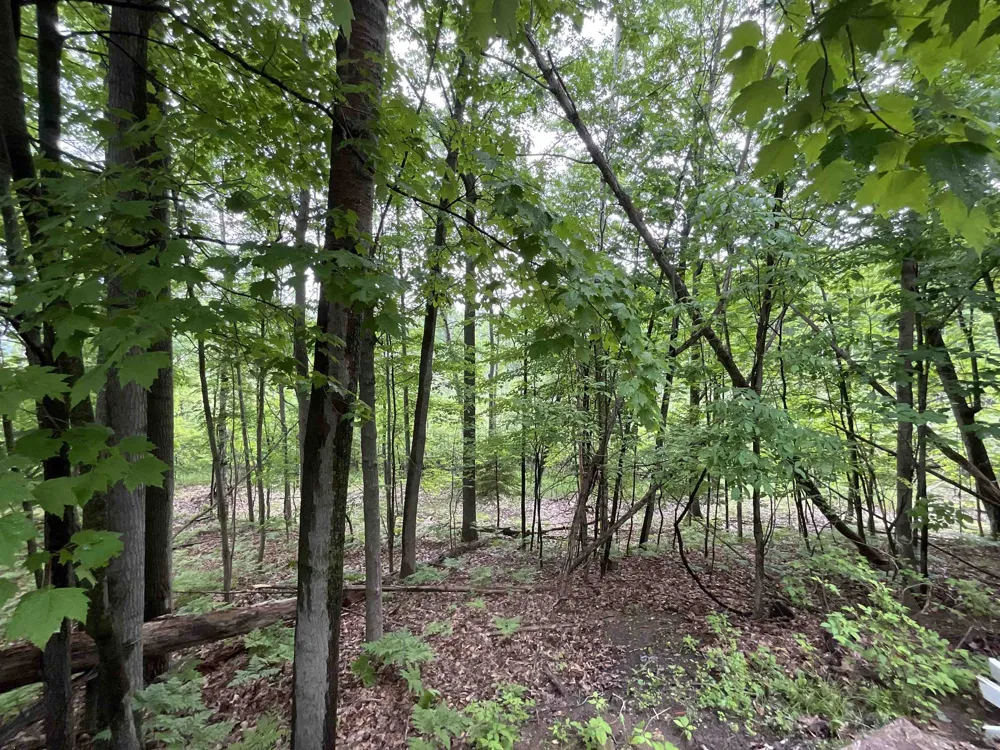 4737 Mary E Drive Hill Township, MI 48739