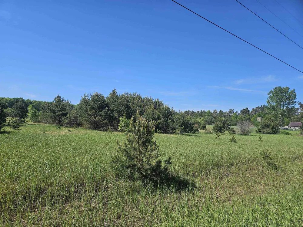 SE Grass Lake Road Excelsior Township, MI 49646