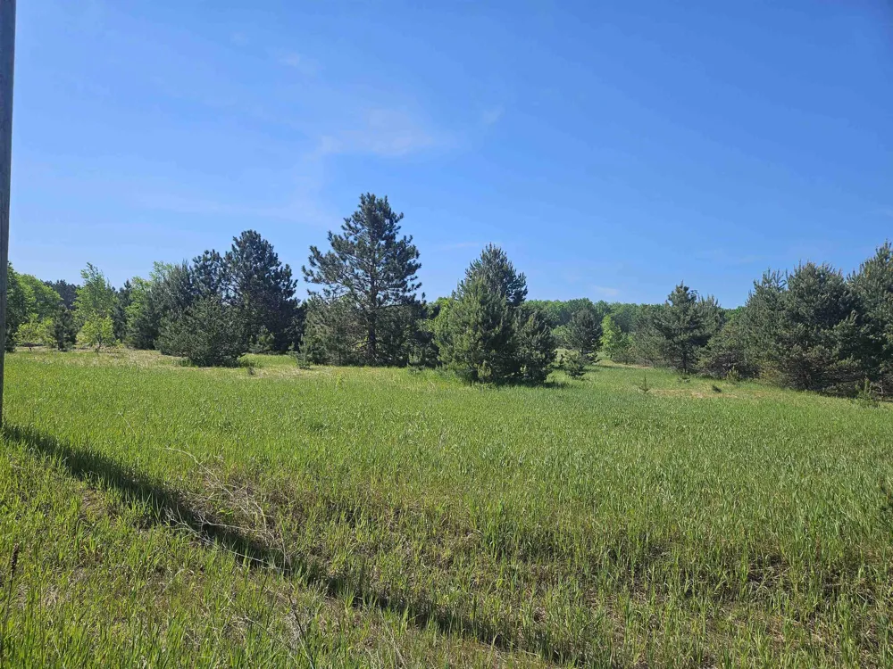 SE Grass Lake Road Excelsior Township, MI 49646