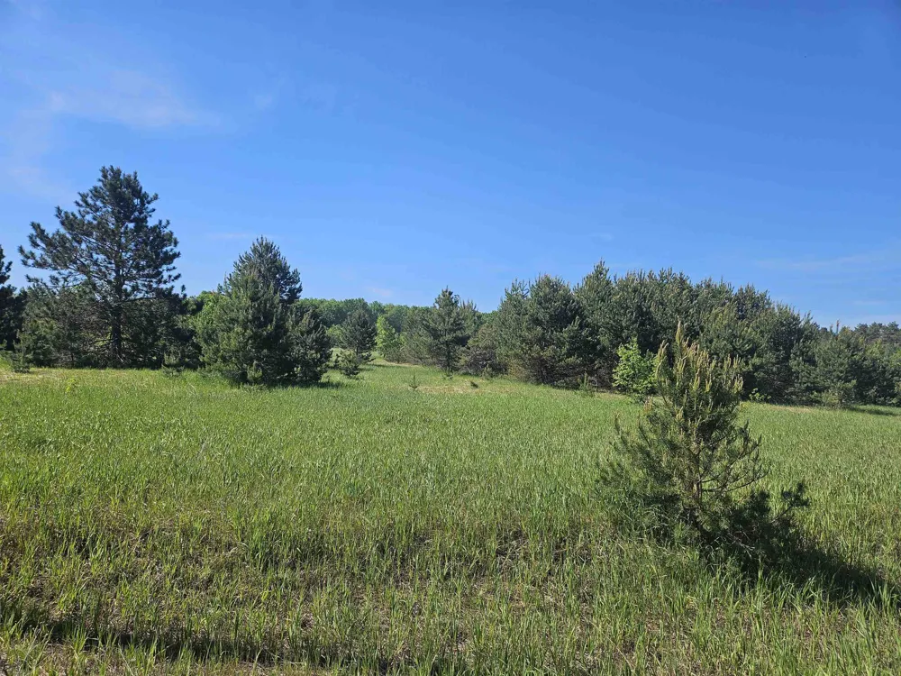 SE Grass Lake Road Excelsior Township, MI 49646