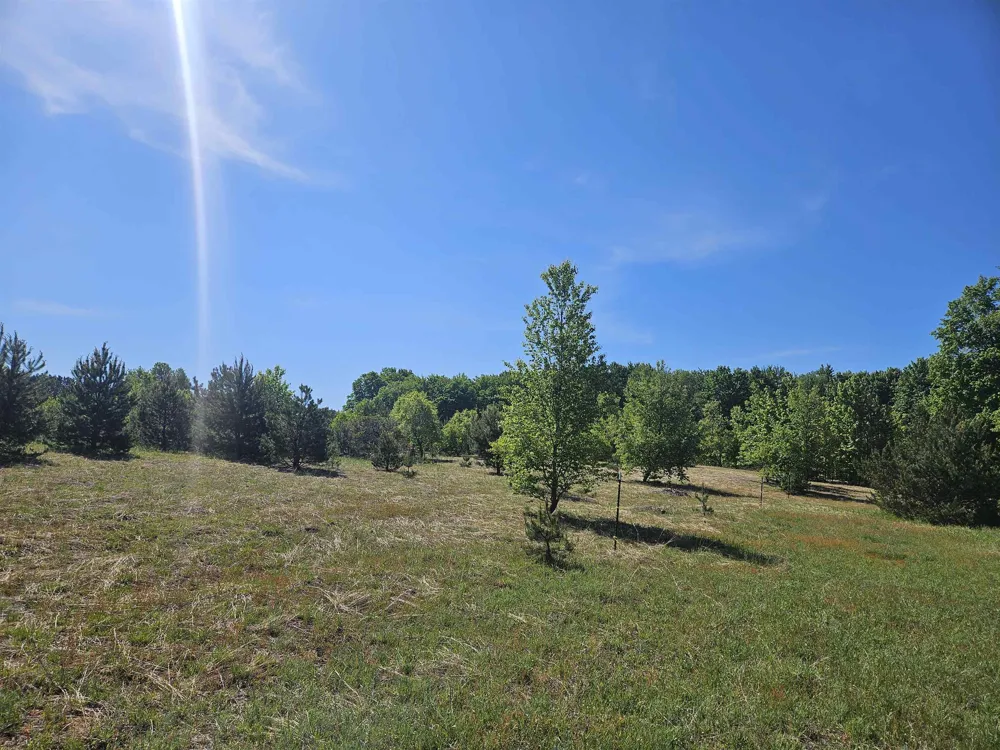 SE Grass Lake Road Excelsior Township, MI 49646