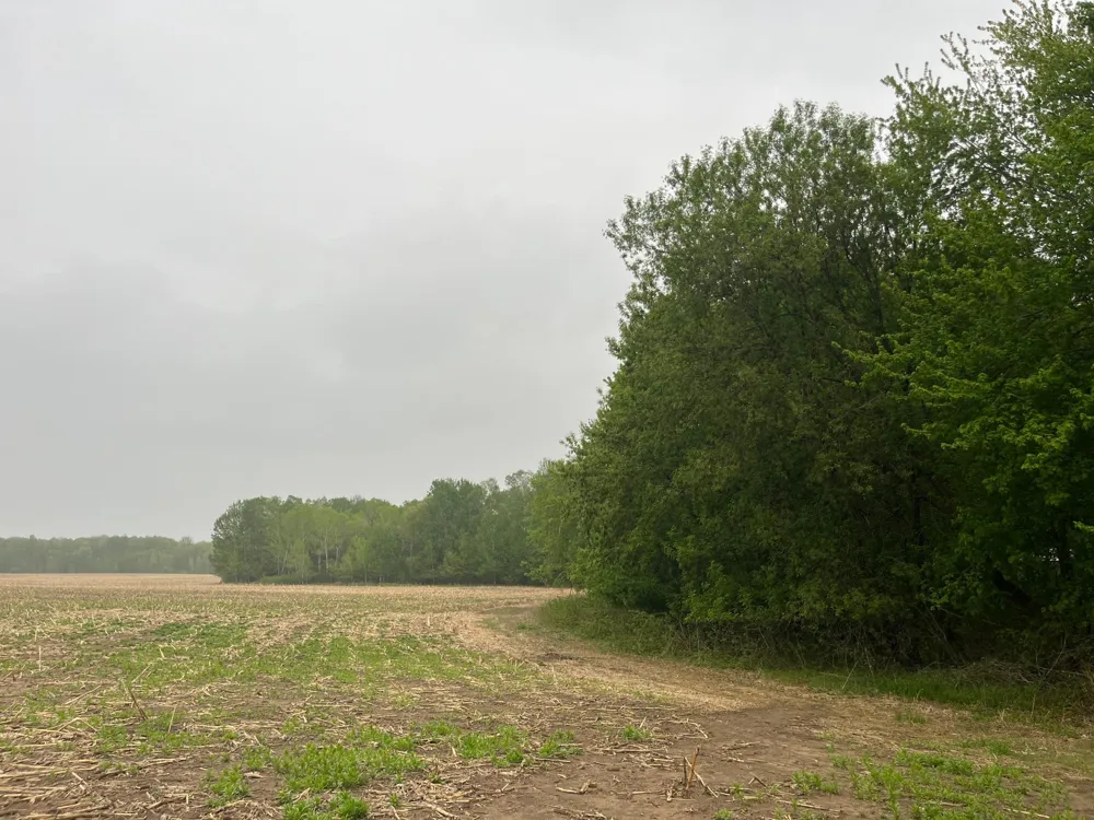 TBD (Lot 4) Hemingway Avenue North Branch, MN 55056