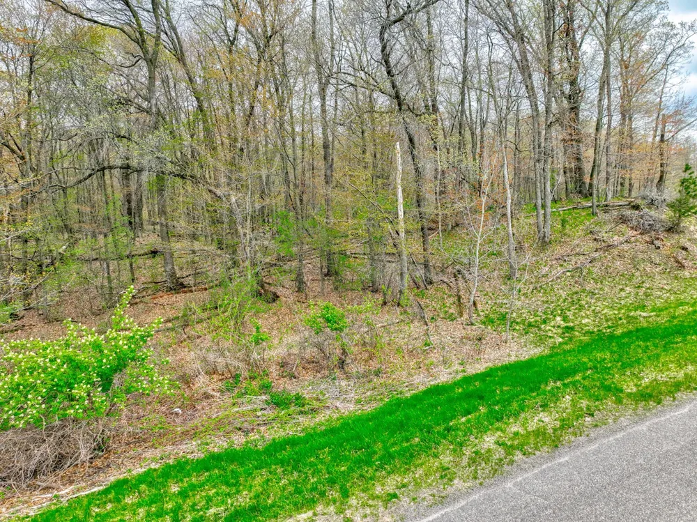 xxx 218th (Lot 37) Avenue Somerset, WI 54025