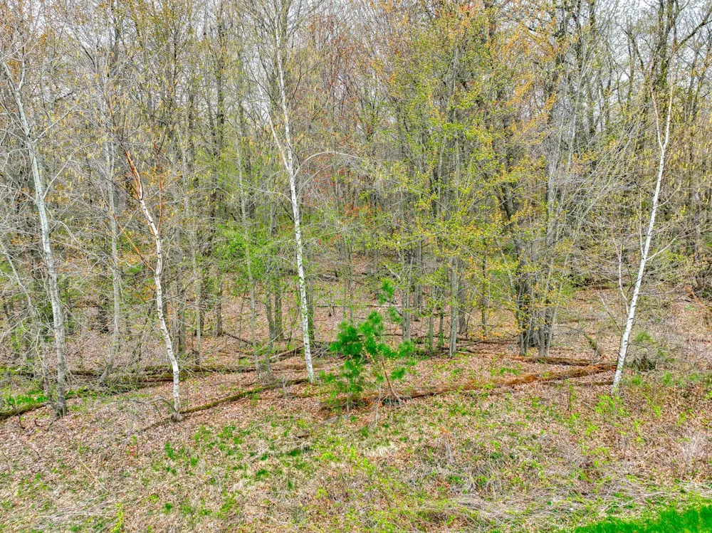 xxx 218th (Lot 37) Avenue Somerset, WI 54025
