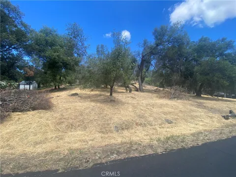20393 Powder Horn