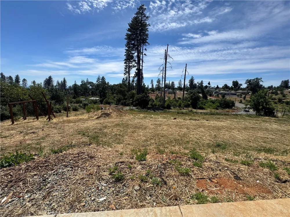1424 Jessie Paradise, CA 95969