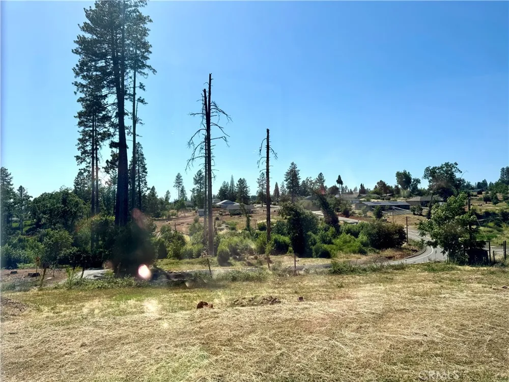 1424 Jessie Paradise, CA 95969