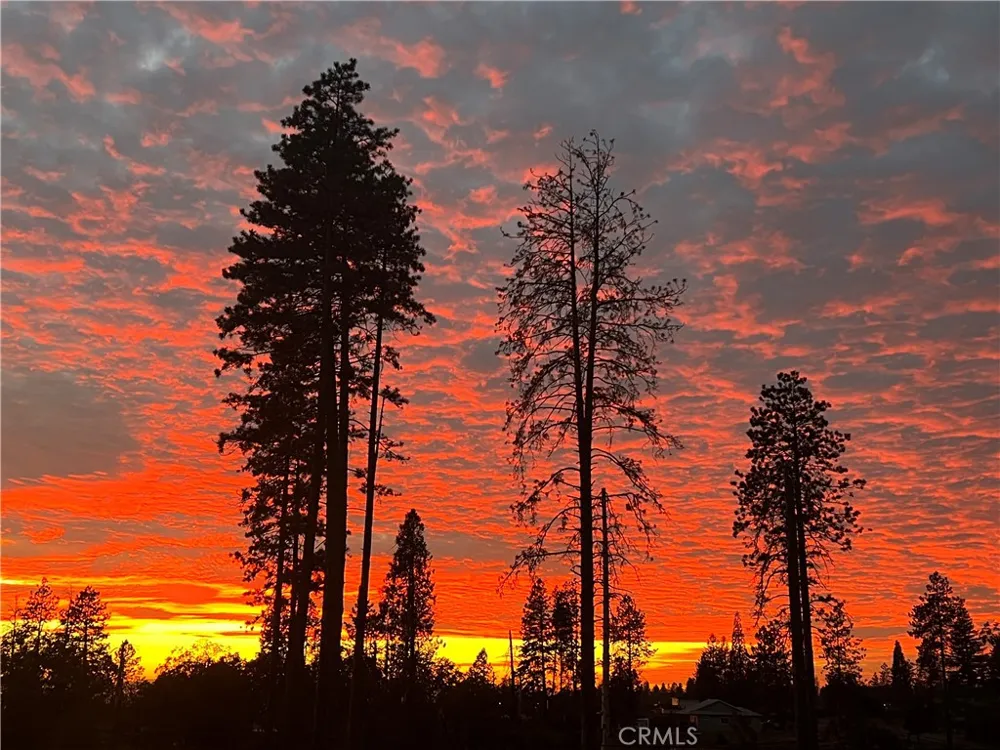 1424 Jessie Paradise, CA 95969