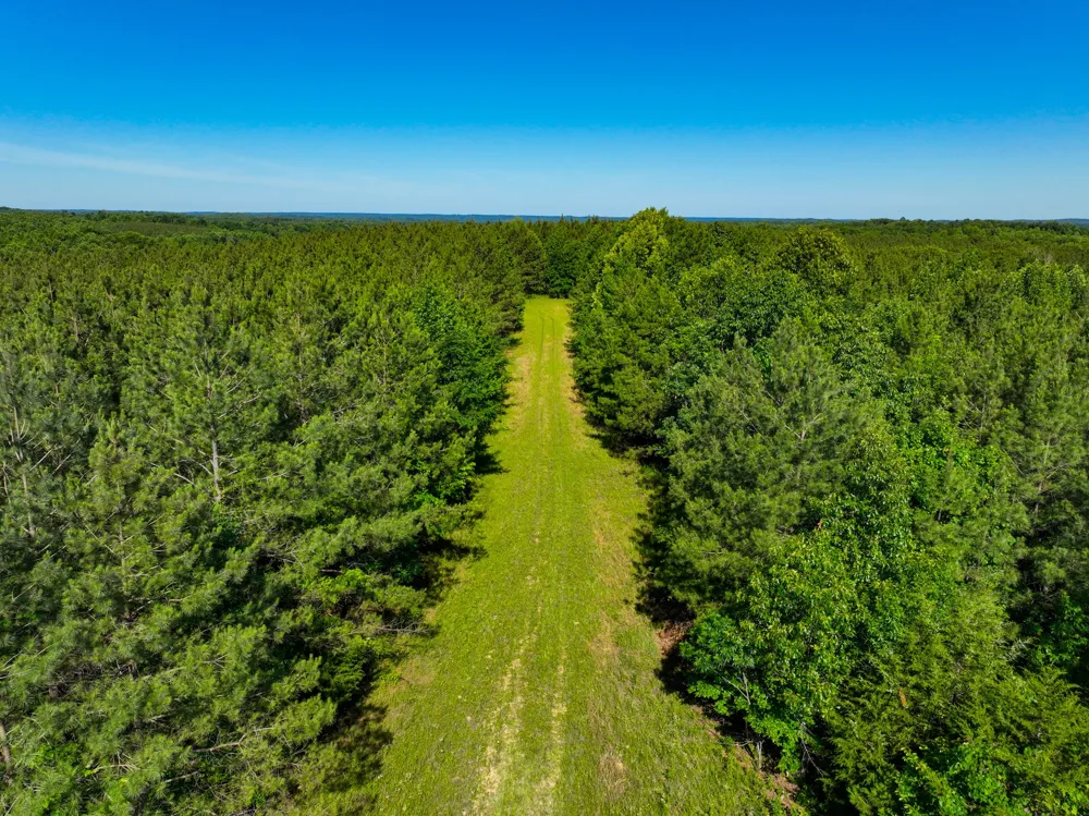 0 White Oak Rd Stewart, TN 37175