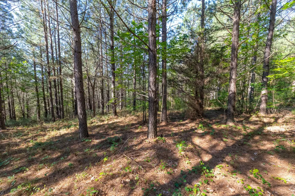 0 White Oak Rd Stewart, TN 37175